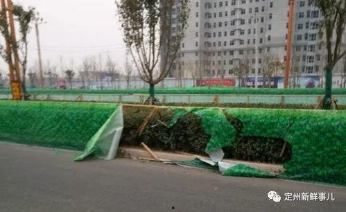 定州融媒置业爆料事件视频,揭秘背后真相  第3张