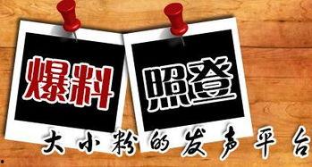 新闻小编最新爆料,新闻小编最新爆料，带你直击事件背后真相  第1张